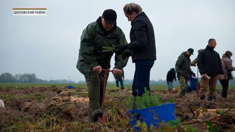 Президент дал старт республиканской акции по восстановлению леса