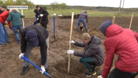 На территории Сенненского детского дома заложили фруктовый сад.