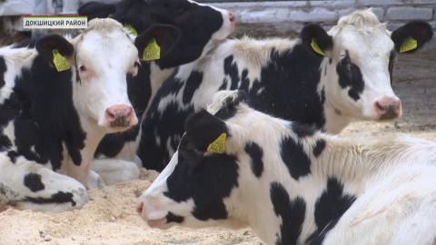 До конца 2024 года в каждой области Беларуси построят по 10 МТК замкнутого цикла