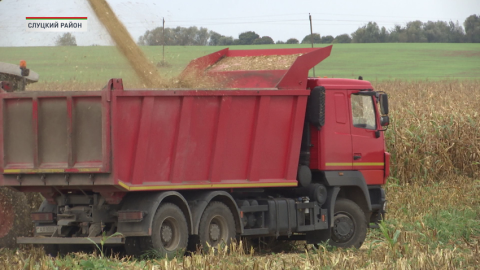 Аграрии Минской области убрали 37,5 тысячи гектаров кукурузы на зерно