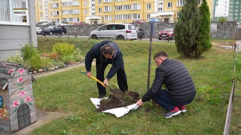 В Беларуси начались осенние субботники