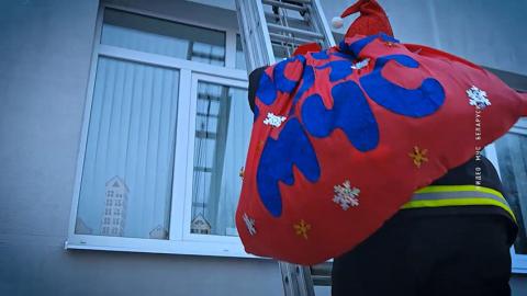 Необычную проблему пришлось решать спасателям.