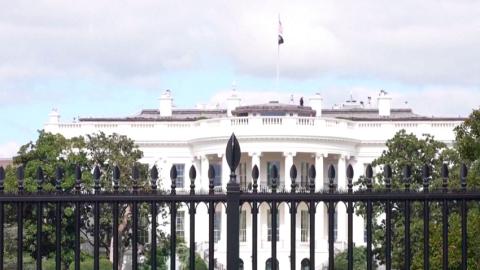 Трамп приостановил пошлины на 90 дней