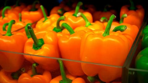 Почти 70% продуктов питания на полках магазинов производятся в Беларуси