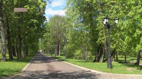 МВД