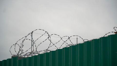 Под амнистию в связи с 80-летием Великой Победы попадут около 8 тысяч человек