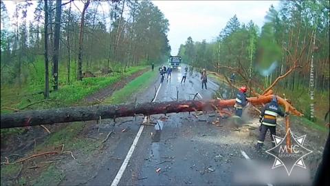 Спасатели устранили последствия непогоды в Беларуси