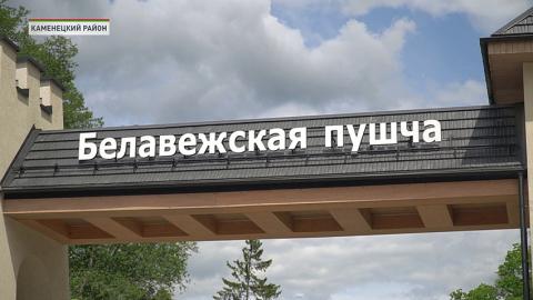 Беловежская пуща