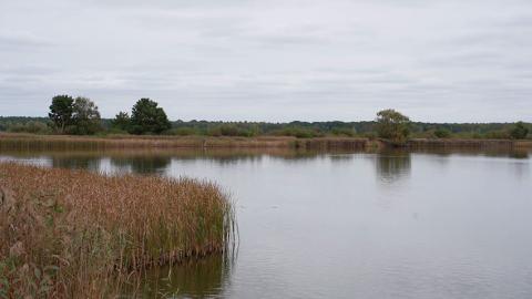 Рыбаки