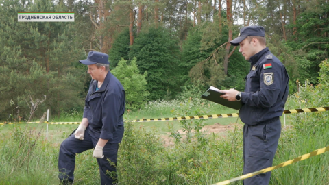 На окраине деревни Крапивино в Сморгонском районе обнаружено захоронение