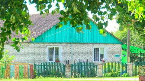 Торговля на селе – в 2024 году за счёт поддержки государства Белкоопсоюз получил 110 машин