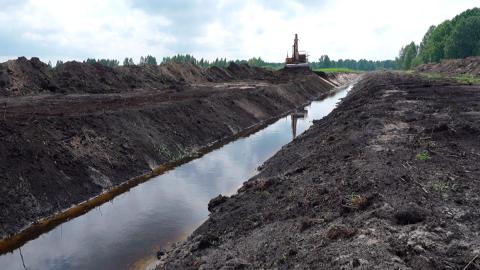 В Беларуси реализуют масштабный план мелиорации – 400 тыс. га земли получат новую жизнь