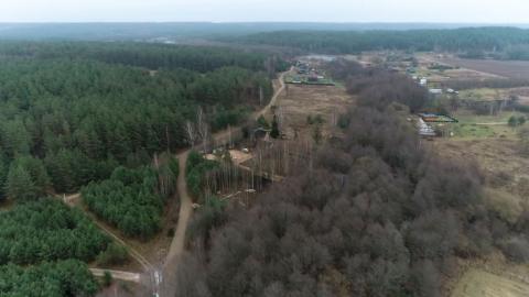 В Беларуси впервые в суверенной истории страны открывается охота на медведя