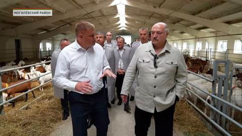 Лукашенко о козоводстве: должно быть удвоение производства, пока есть спрос!