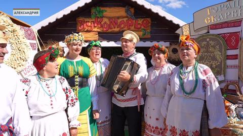 Фестиваль «Александрия собирает друзей»