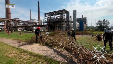 В Могилёве продолжаются работы по устранению последствий непогоды