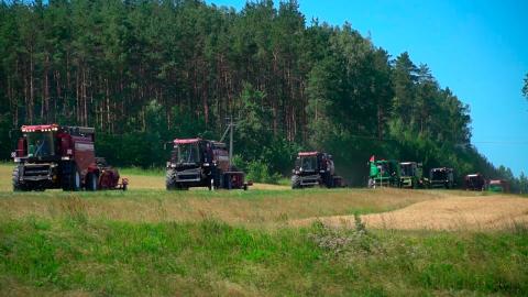 В Гродненской области уже молотят – первые хозяйства приступили к уборке зерновых
