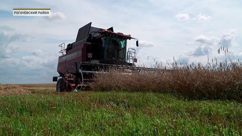 Гомель