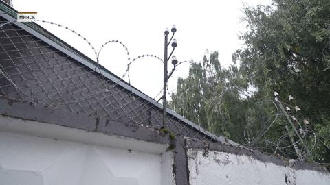 Мигранты