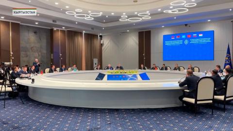 Беларусь приняла участие в заседании Координационного совета по ЧС ОДКБ