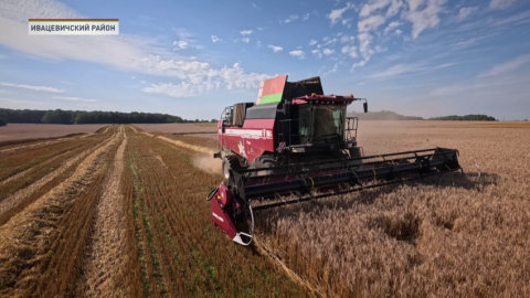 Как трудятся аграрии в полях