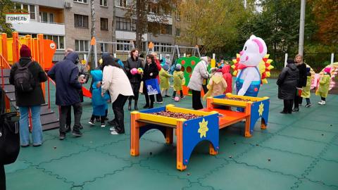Инклюзивную спортивно-игровую площадку и контактный зоопарк открыли в Гомельском городском ЦКРОиР