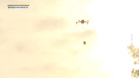 На полигонах Беларуси создают базу для обучения войск борьбе с беспилотниками