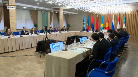 Заседание Молодёжной межпарламентской ассамблеи государств — участников СНГ