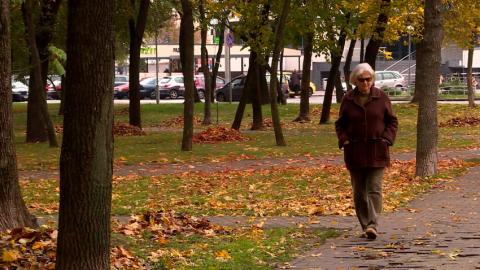 Пенсии и пособия за 7 ноября в Беларуси начнут выплачивать уже 5 ноября