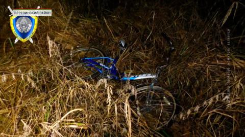 Судебные эксперты установили причину смерти потерявшегося мальчика в Березинском районе