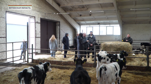 Кочанова и Сергеенко посетили Витебскую область с рабочей поездкой