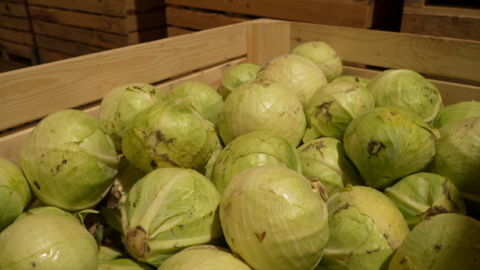 Формирование стабфондов завершается в Беларуси