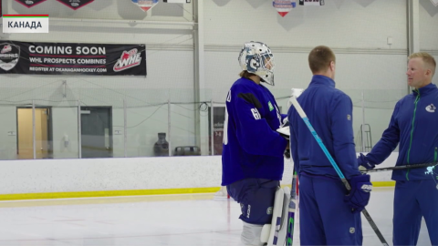 Отечественный голкипер Никита Толопило вызван в «Ванкувер» из «Абботсфорда», выступающего в АХЛ