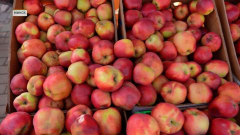 Сезон сельскохозяйственных ярмарок продолжается в Беларуси