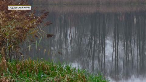 Зарыбление