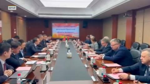 Брестский облисполком с партнёрами из КНР реализует инвестпроект по строительству тепличных комплексов