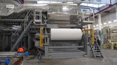 В Беларуси сырья – древесины – имеется в избытке! Как в стране развивают бумажную отрасль?