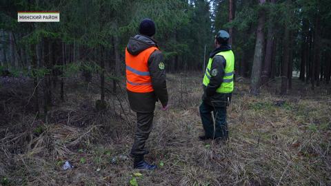 Лесная охрана работает в усиленном режиме