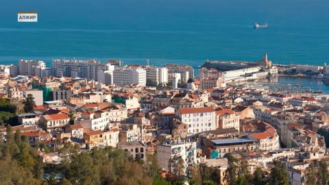 Александр Лукашенко 2-3 декабря совершит официальный визит в Алжир