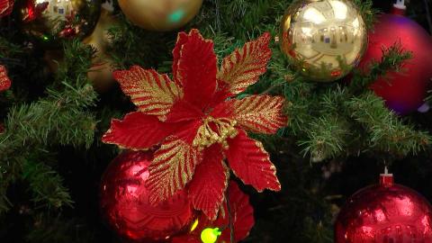 Благотворительную акцию для подопечных ТЦСОН и пансионатов организовали в Большом театре