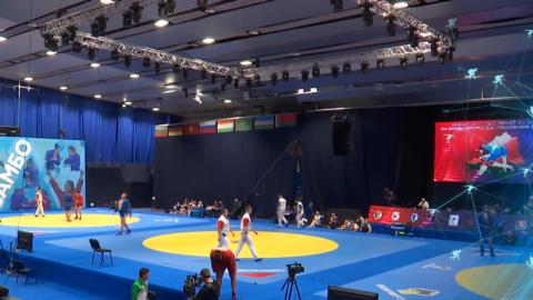 Белорусские самбисты смогут выступать на международных турнирах под флагом страны с января 2026 года