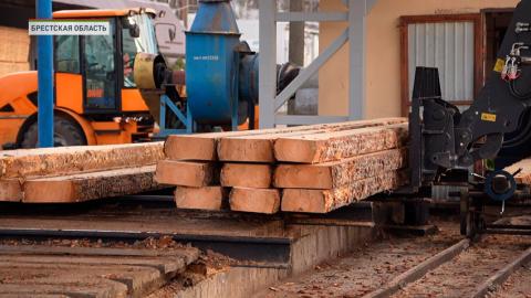 В лесхозах Беларуси реализуют 31 проект по созданию новых производств