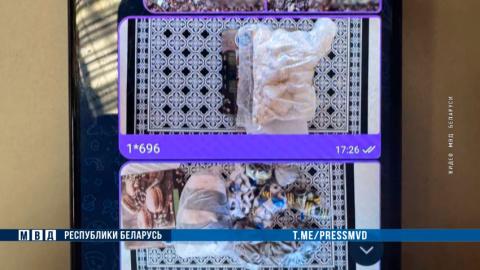 В Минске с поличным задержан закладчик-оптовик — изъяты тысячи доз наркотиков