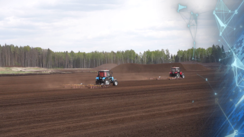 Почти 2 миллиона тонн торфа добыли в Беларуси с начала года