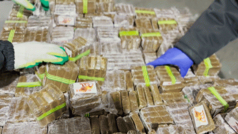 Фура с гашишем и мефедроном из Польши задержана в Беларуси