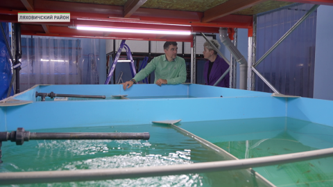 В Беларуси проводят экскурсии на первую в стране креветочную ферму