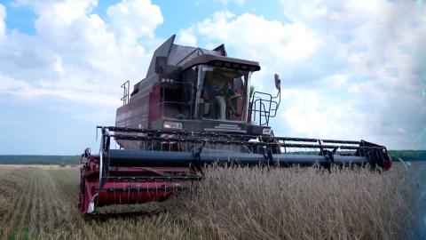 Белстат подвёл итоги уборочной кампании в хозяйствах всех категорий