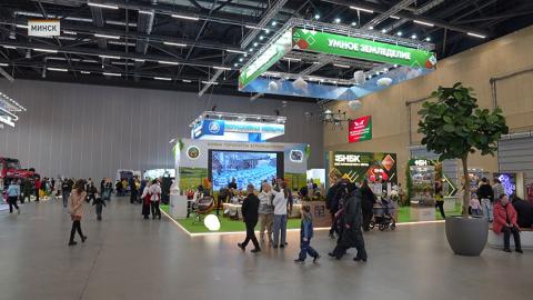 Моя Беларусь