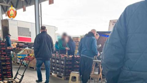 МВД: пресечена масштабная схема нелегальной миграции