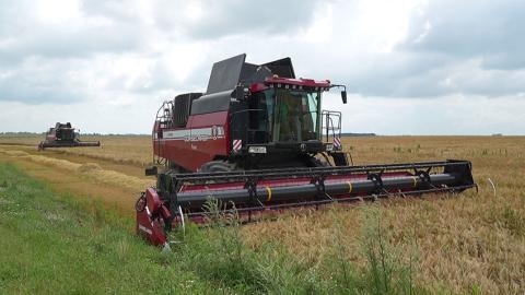  Главные экономические достижения Беларуси за 2025 год